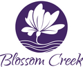 Blossom Creek Elderberry Syrup - Home